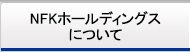 NFKホールディングスについて